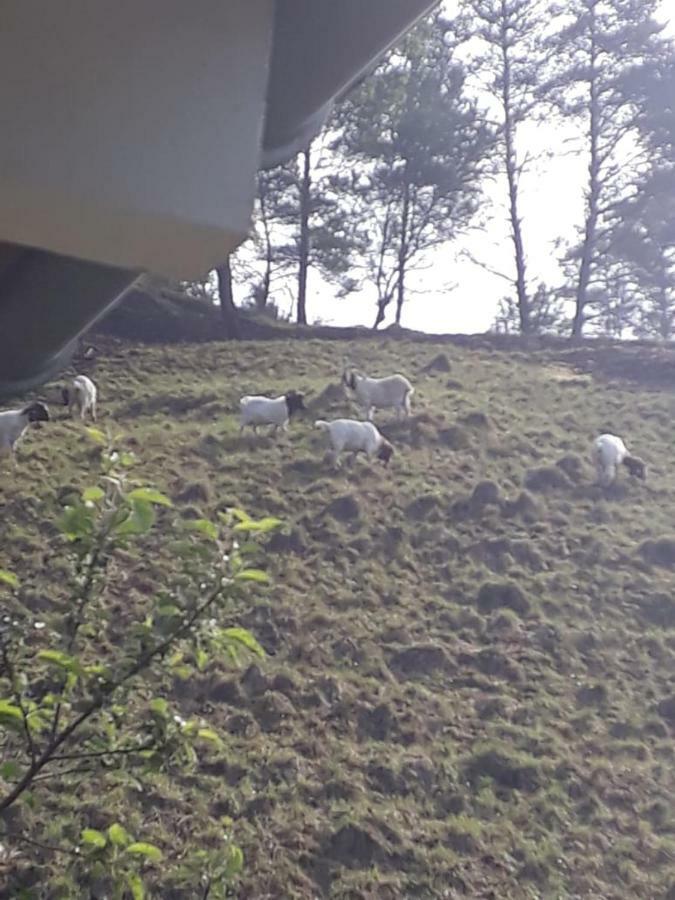 Beim Andi Apartman Stockach Kültér fotó